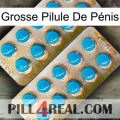 Grosse Pilule De Pénis new08
